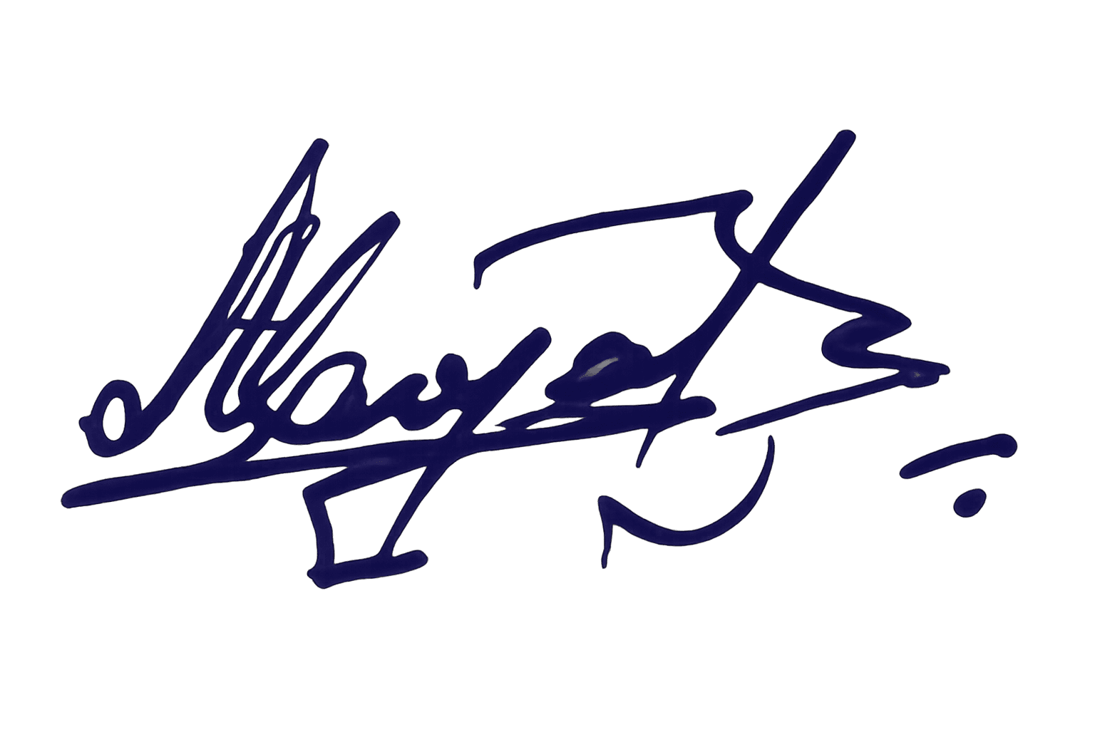Handwritten signature of the team
